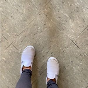 Meet your Posher, Holly